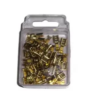 Mini caja terminal 100 uds faston hembra 6.3 mm, sección 1-2,5 mm